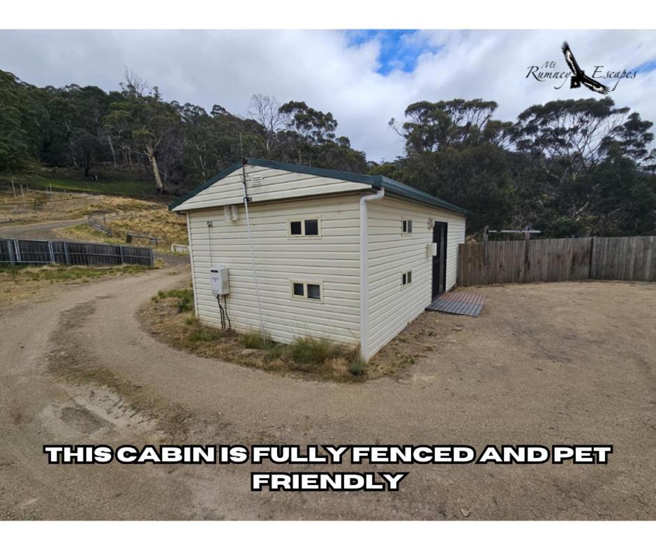 Mount Rumney Escapes - Platypus Cabin Exterior foto